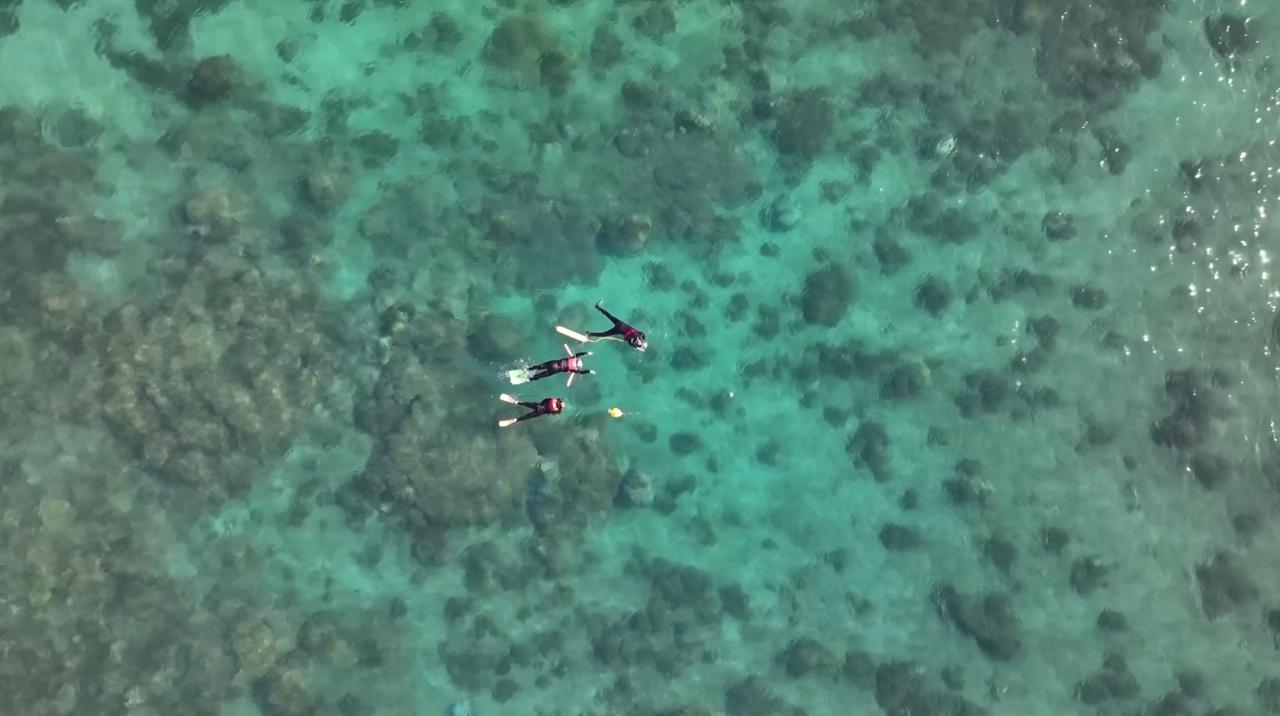 Snorkel Tour
