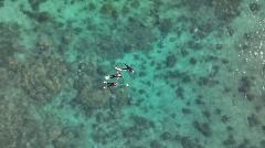 Snorkel Tour