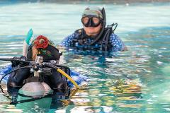 Scuba Skills Update (Refresher)