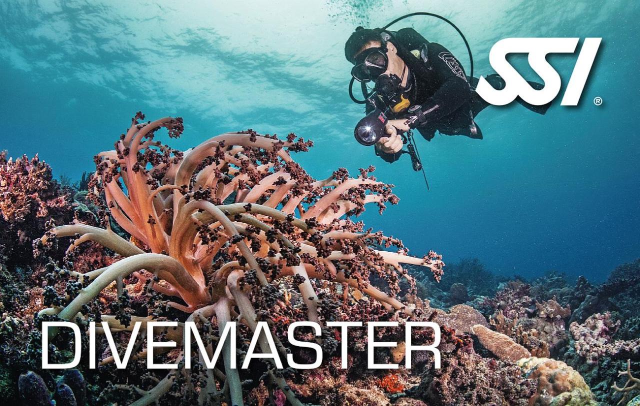 SSI Divemaster Pleasure Divers Magnetic Island Reservations