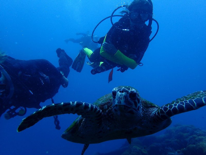 PADI  2 Day Advanced Open Water Course