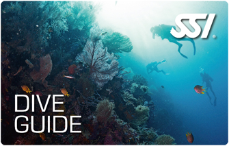 SSI Dive Guide