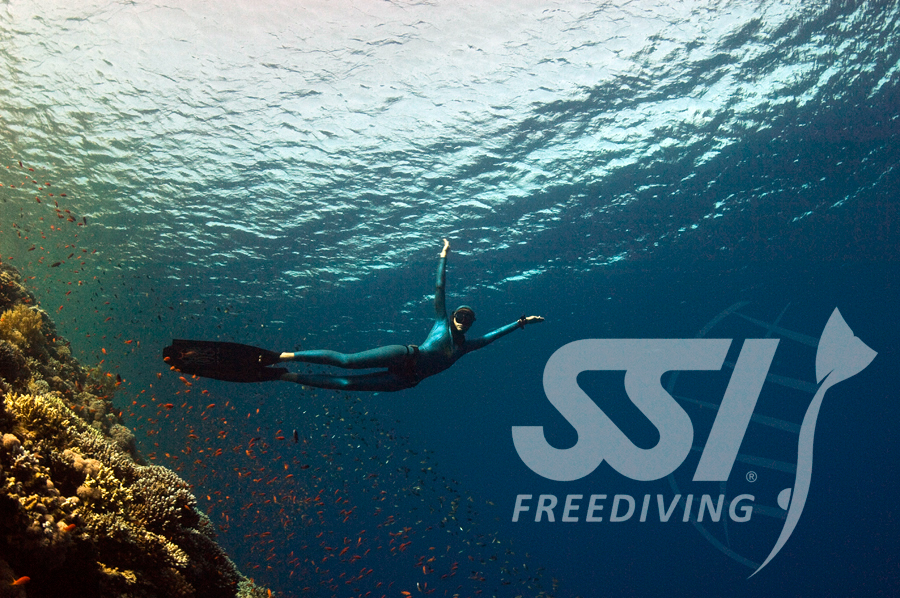 SSI Basic Freediving Course