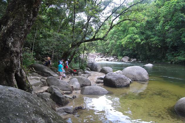 Cairns to Port Douglas & Mossman Gorge