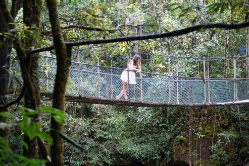 Port Douglas to Mossman Gorge. Return transfer.