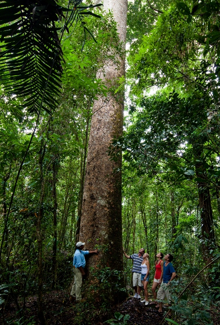 Ngadiku Dreamtime Walks at Mossman Gorge from Cairns