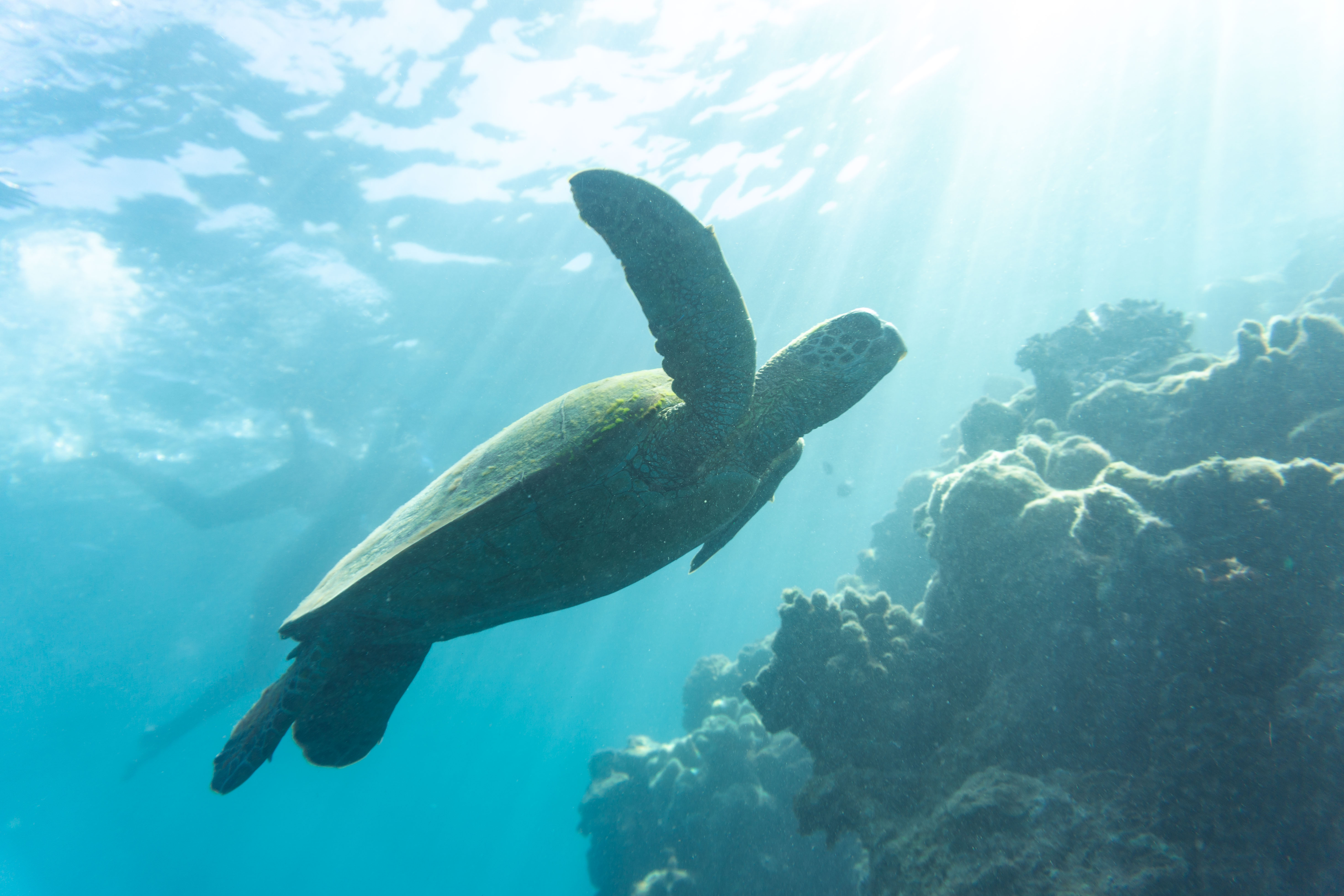 Prosail Whitsundays Private Group Charter