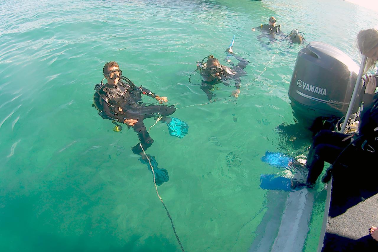 Gold Coast Scuba Dive