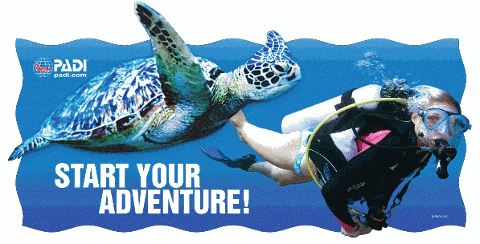 PADI Scuba Diver Course