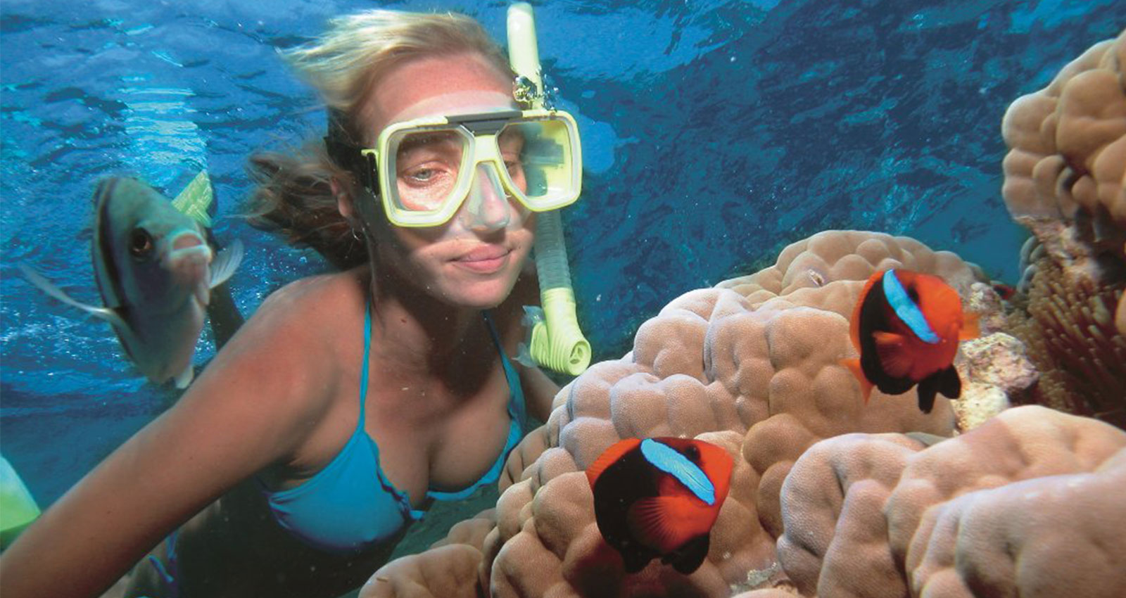 Snorkelling