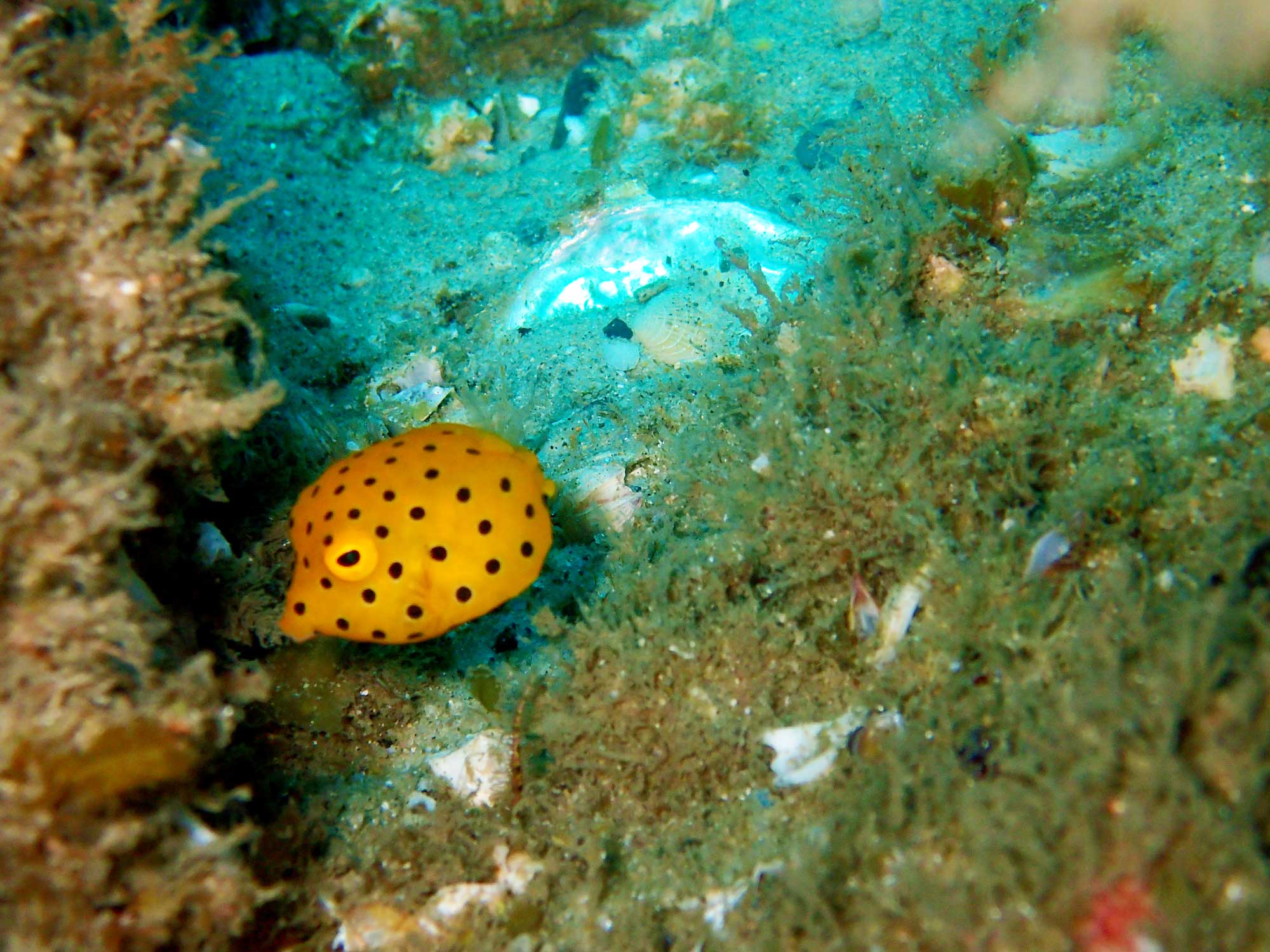 Slide 8