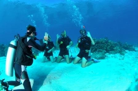 **** PADI Open Water Course