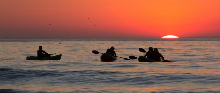 Private Group Tours