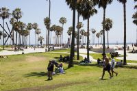 California Beach