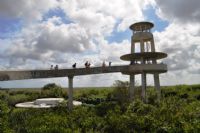 Gulf of Mexico Florida Wildlife  Outlet Shopping