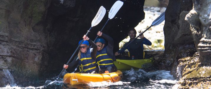Kayak Rentals