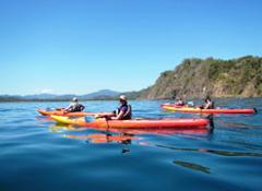 Sea Kayak and Snorkeling 