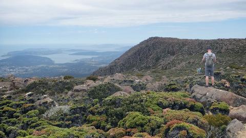 kunanyi/MT WELLINGTON EXPLORER BUS: ONE-WAY Tasmania Australia