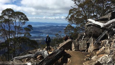 kunanyi/MT WELLINGTON EXPLORER BUS: ONE-WAY Tasmania Australia