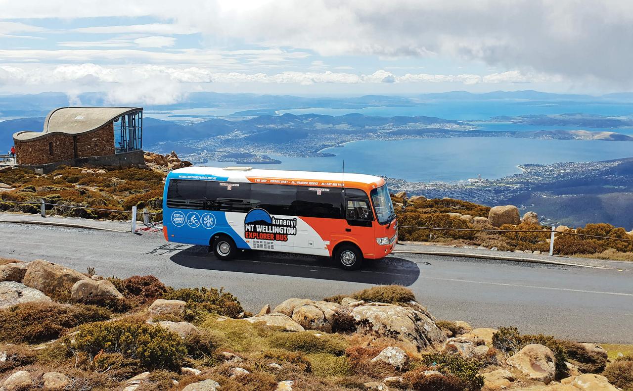COMBO 2: CITY LOOP + MT. WELLINGTON