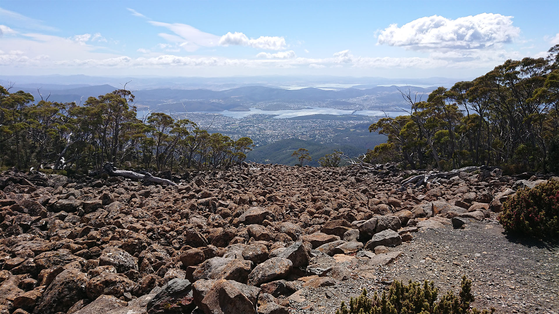 COMBO 2: CITY LOOP + MT. WELLINGTON