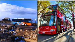 kunanyi/MT WELLINGTON + CITY LOOP COMBO-Tasmanian Travel and Information Centre 