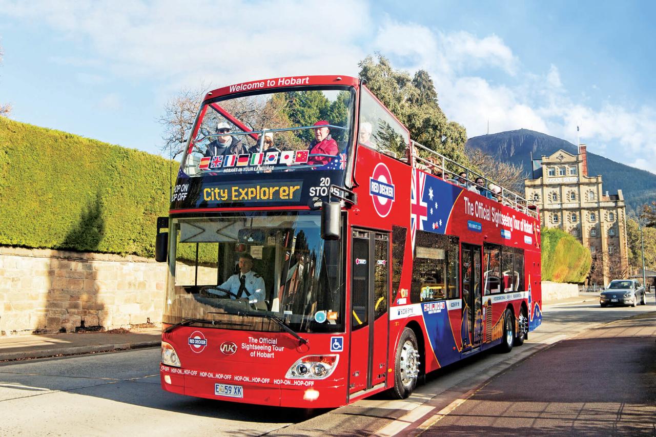 MT WELLINGTON + CITY LOOP COMBO