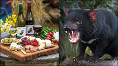 EXPLORER TICKET: RICHMOND VILLAGE & THE COAL RIVER VALLEY (add on experience option)- Tasmanian Travel and Information Centre