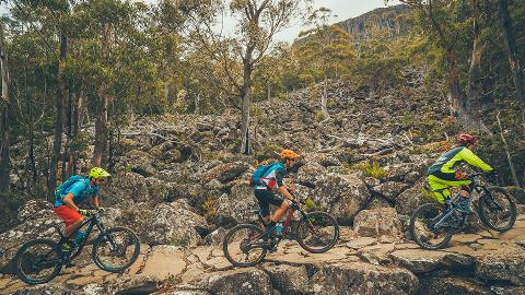 kunanyi/MT WELLINGTON EXPLORER BUS: ONE-WAY Tasmania Australia