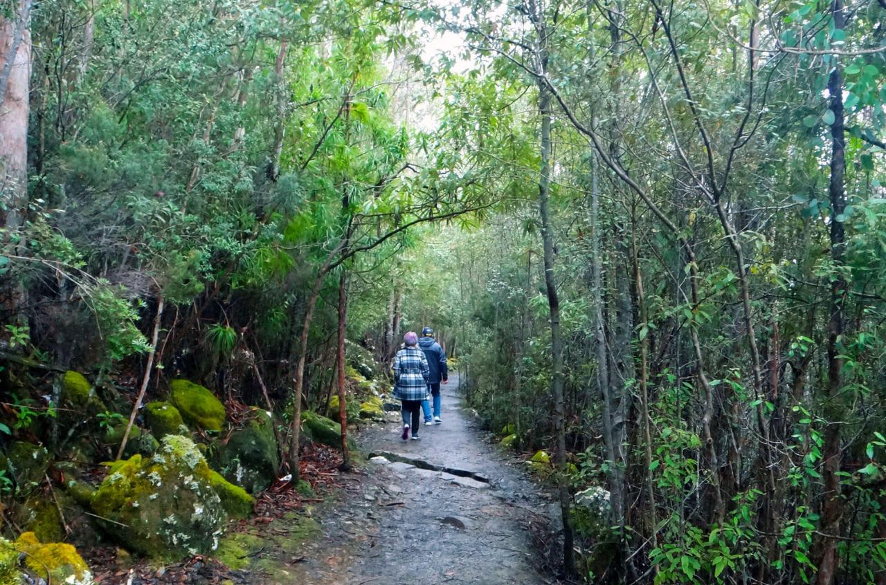 kunanyi/MT WELLINGTON EXPLORER BUS: ONE-WAY