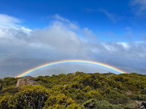 kunanyi/MT WELLINGTON EXPLORER BUS: ONE-WAY Tasmania Australia