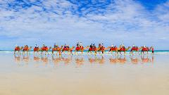Gift Voucher 2026 Magical Morning Tour