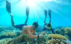 The Kuata Island Culture & Conservation Expedition