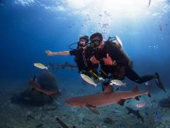 Barefoot Kuata Reef Shark Introductory Dive