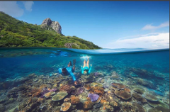 Marine Conservation Experience Day Cruise