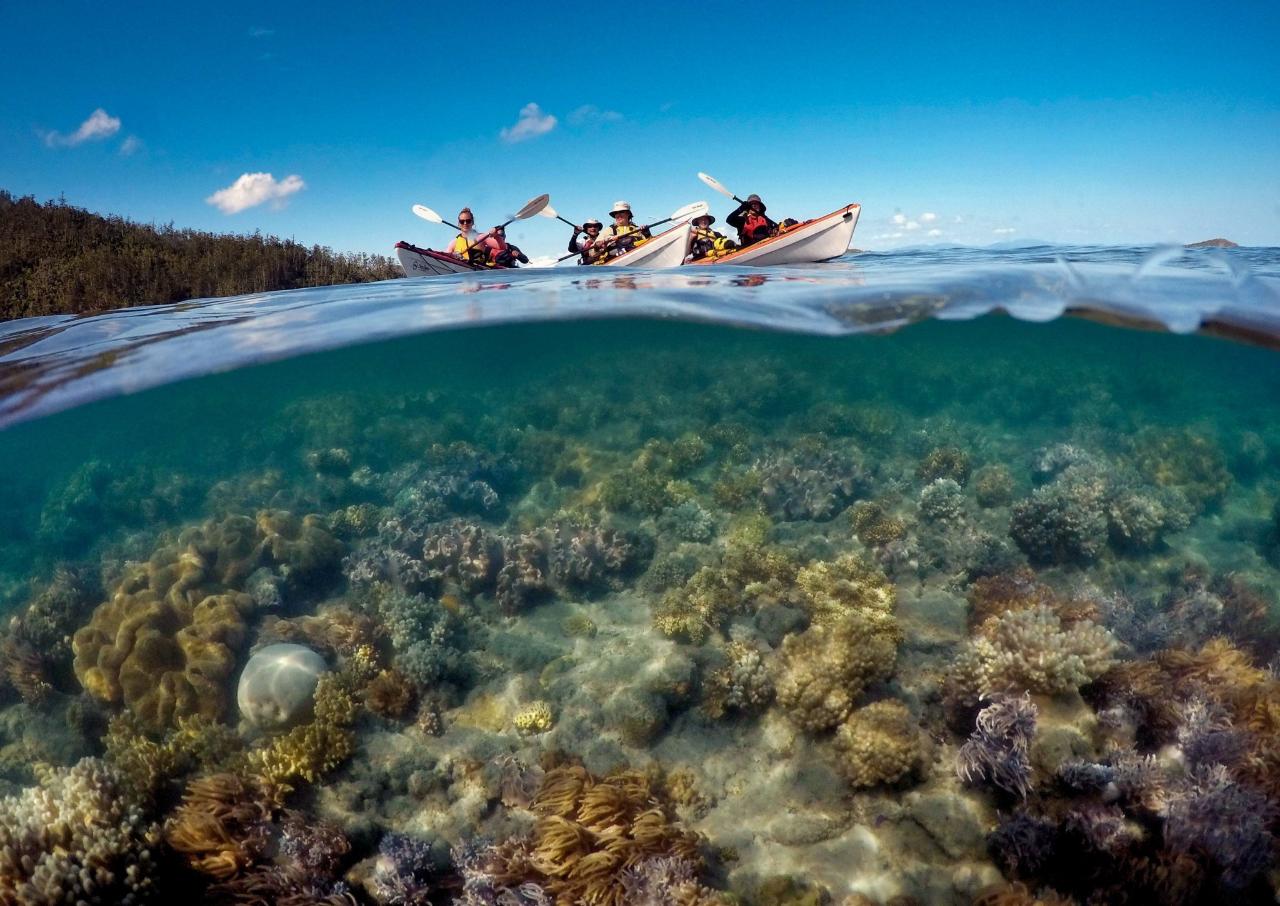 6 DAY GUIDED WHITSUNDAY KAYAK TOUR