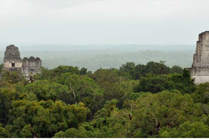 TIKAL TOUR FROM GUATEMALA CITY