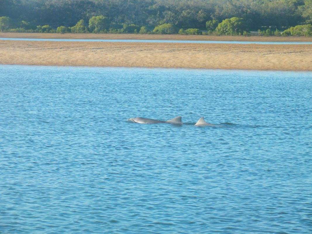 1770 Castaway Day Trip