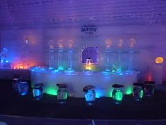 Chena Aurora Tour