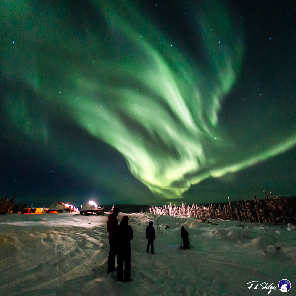 Aurora Viewing Experience