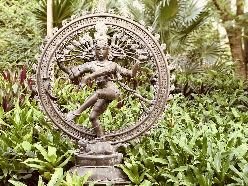 Ayahuasca Retreat Mexico at Arkana Yucatan