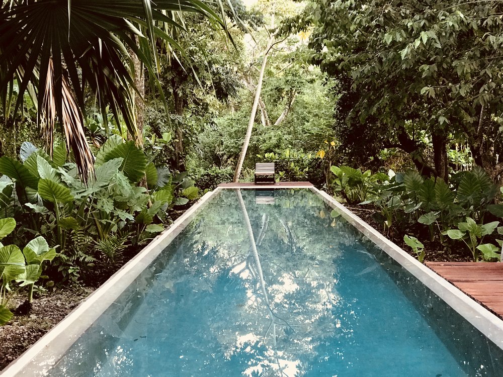 Ayahuasca Retreat Mexico at Arkana Yucatan