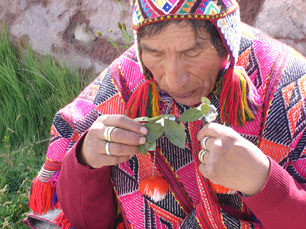 14 Day Sacred Valley Retreat