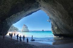 Private Cathedral Cove Day Trip from Auckland