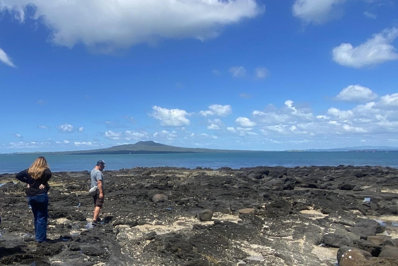 Devonport Volcanoes Afternoon Tour from Auckland