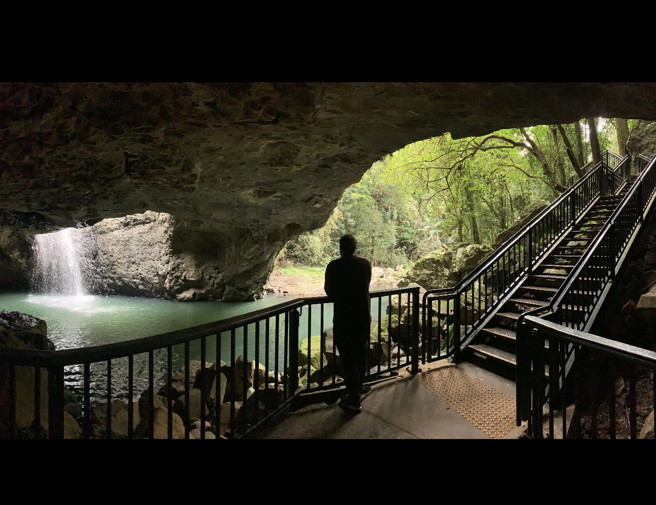 Rainforests & Waterfalls Tour from Gold Coast