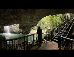 Rainforests & Waterfalls Tour from Gold Coast