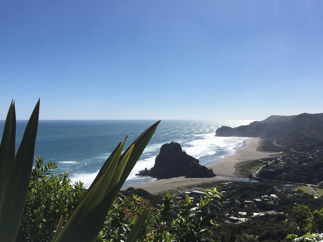 Piha Beach, Waterfall and Rainforest tour from Auckland