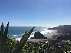 Piha Beach, Waterfall and Rainforest tour from Auckland