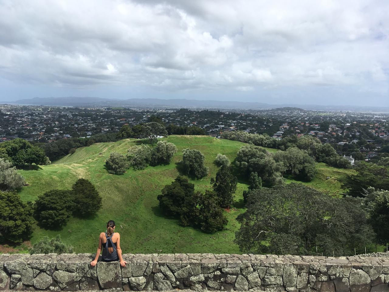 Private Volcanoes & Viewpoints Half-Day Tour from Auckland